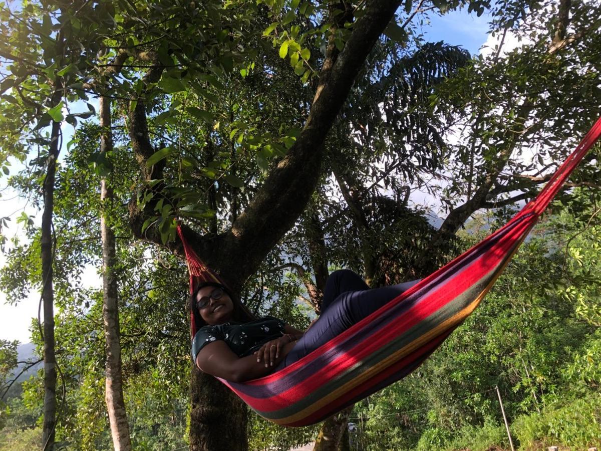 Palabaddala Tea And Eco Lodge 拉特纳普勒 外观 照片
