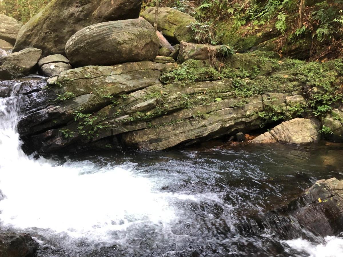 Palabaddala Tea And Eco Lodge 拉特纳普勒 外观 照片