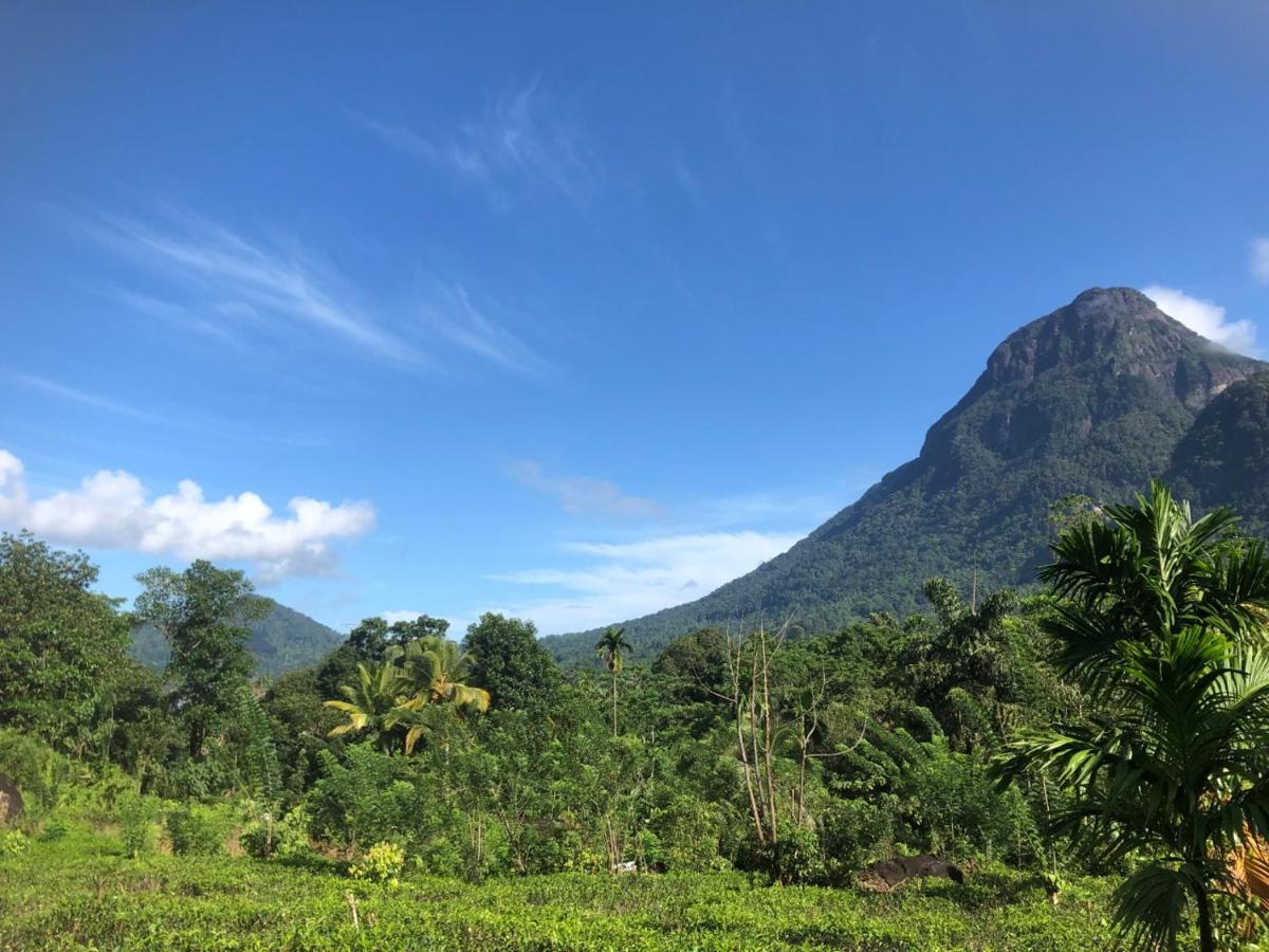 Palabaddala Tea And Eco Lodge 拉特纳普勒 外观 照片