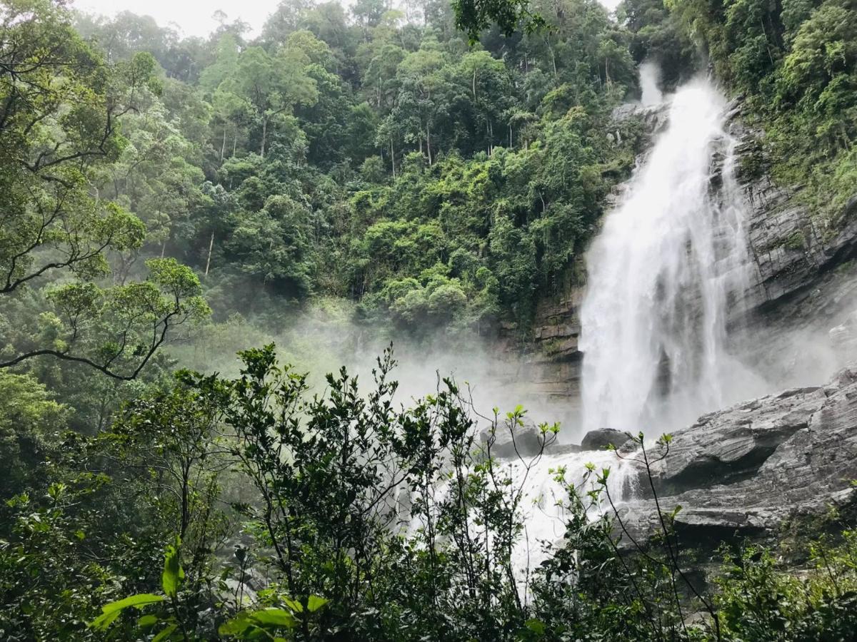 Palabaddala Tea And Eco Lodge 拉特纳普勒 外观 照片