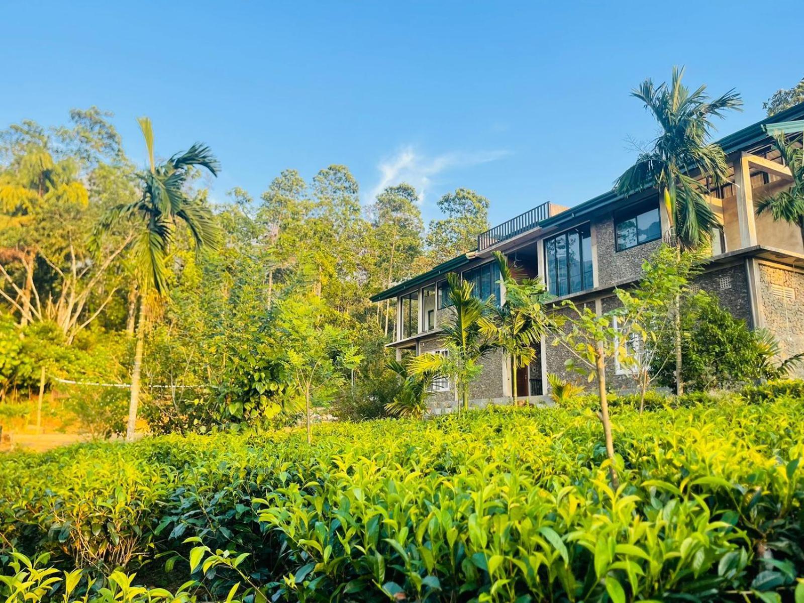 Palabaddala Tea And Eco Lodge 拉特纳普勒 外观 照片