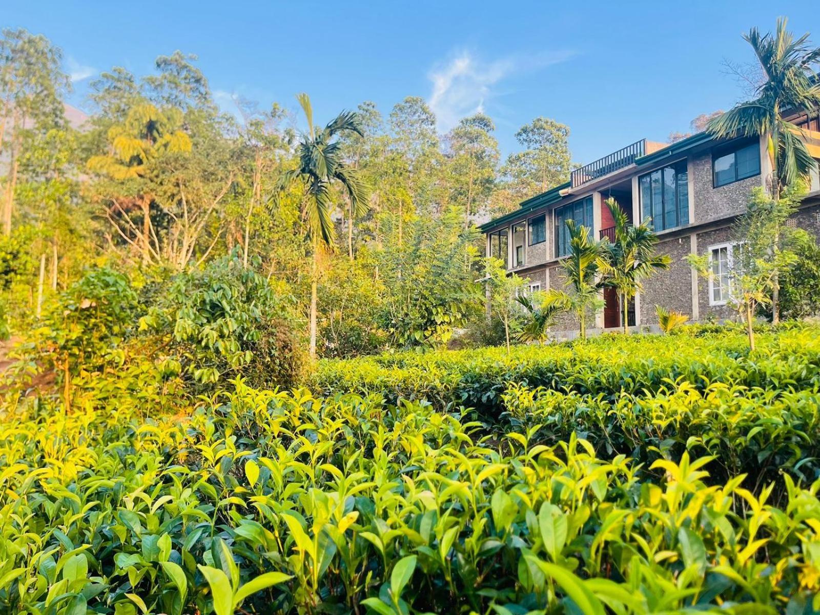 Palabaddala Tea And Eco Lodge 拉特纳普勒 外观 照片