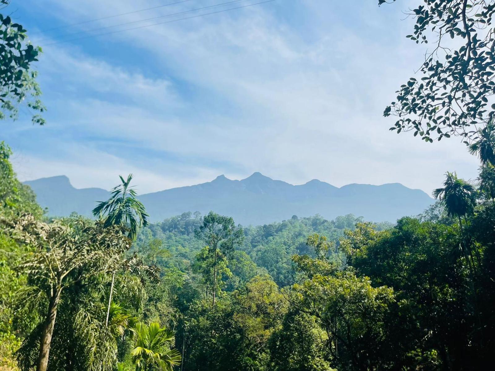Palabaddala Tea And Eco Lodge 拉特纳普勒 外观 照片