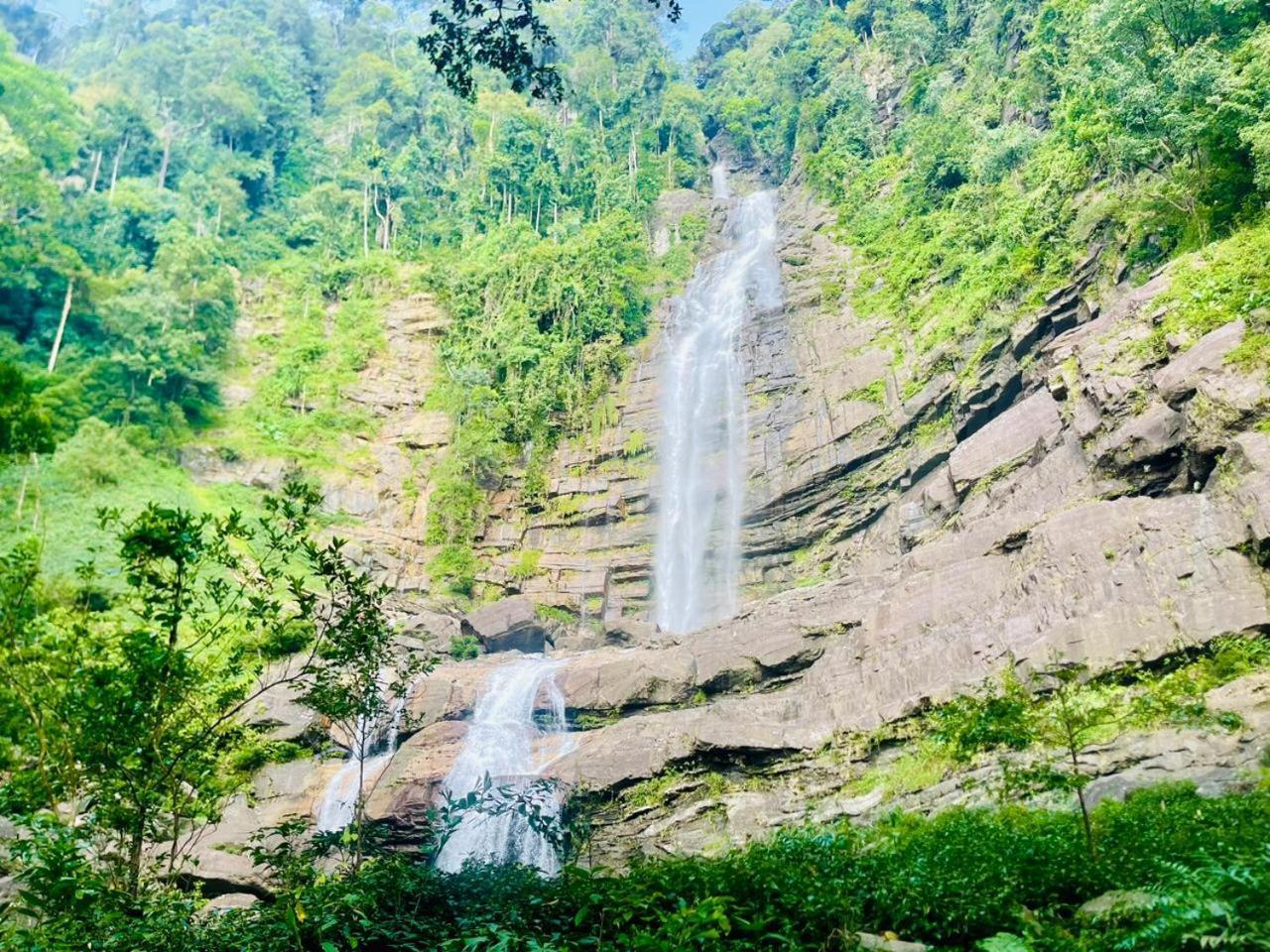 Palabaddala Tea And Eco Lodge 拉特纳普勒 外观 照片
